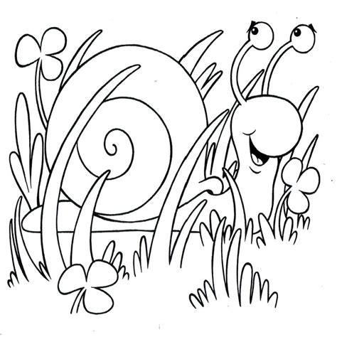 Dibujos Para Colorear Insectos En Primavera ...