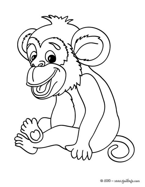 Dibujos para colorear mono chimpancé   es.hellokids.com
