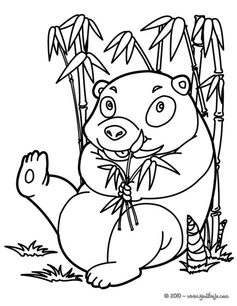 Dibujos para colorear oso panda come bambú   es.hellokids.com