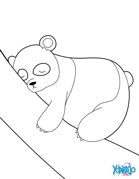 Dibujos para colorear oso panda durmido   es.hellokids.com