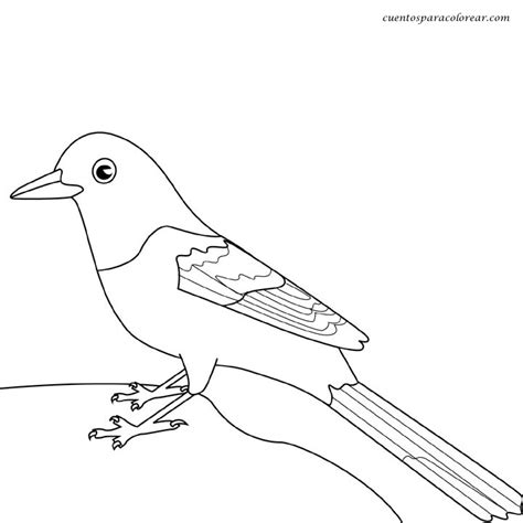Dibujos para colorear pájaros