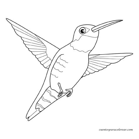 Dibujos para colorear pájaros