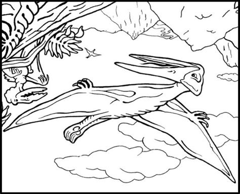 Dibujos para colorear pterosaurio   es.hellokids.com