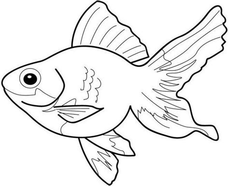 dibujos peces g   iDibujos