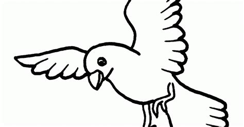 Dibujos Sin Colorear: Dibujos de Pájaros para Colorear