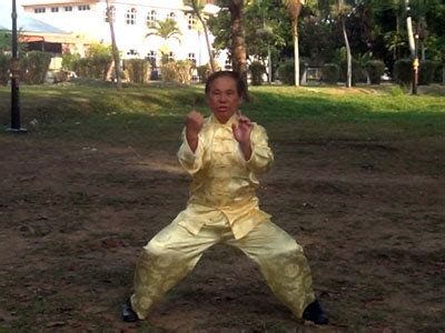 Die Geschichte des Chi Flows in Shaolin Wahnam