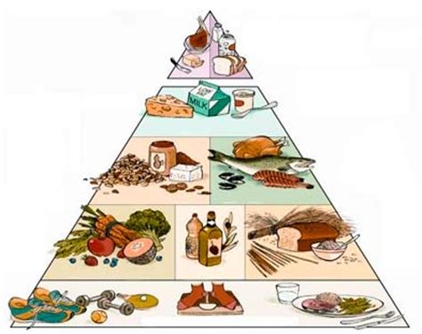 Dieta Mediterránea, el trigo, el olivo y la vid   Salud y ...