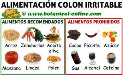Dieta para el colon o intestino irritable