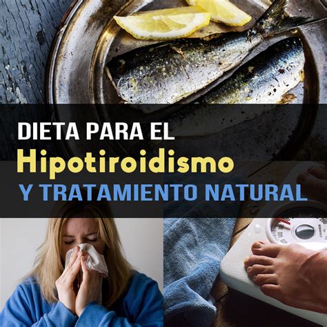 Dieta Para El Hipotiroidismo Y Tratamiento Natural   La ...