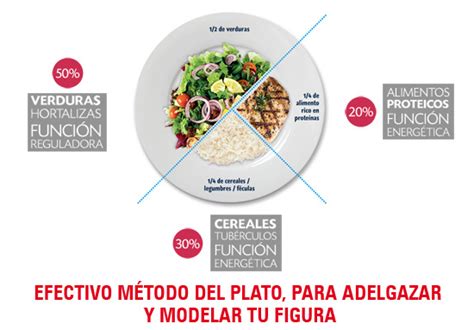 Dieta Perder Barriga, Efectivo Método del Plato Para ...