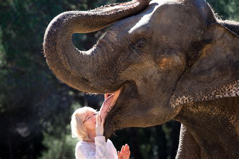 Diez trucos infalibles para tener memoria de elefante
