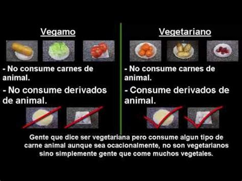 Diferencia entre vegamo y vegetariano   YouTube