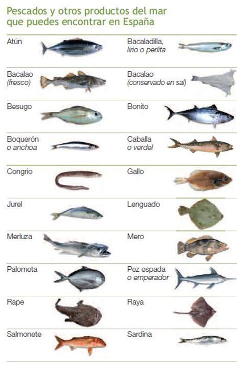 Diferencias del pescado azul o blanco