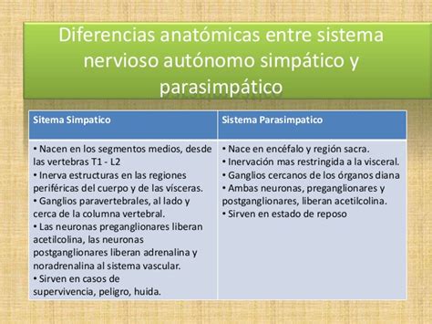 Diferencias entre sistema nervioso simpático y parasimpático