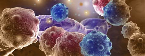 Diferencias entre tumor y cáncer   Bekia Salud