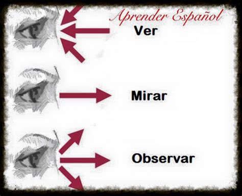Diferencias entre Ver Mirar y Observar – Español al Día