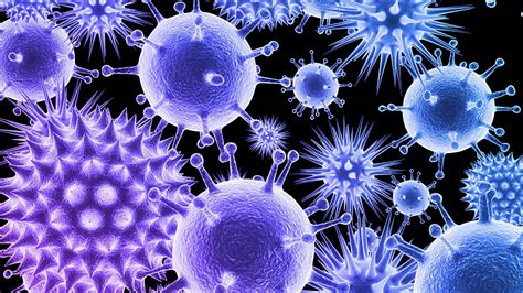 Diferencias entre virus y bacterias
