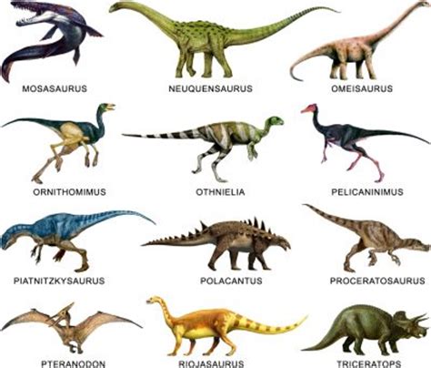 diferentes tipos de dinosaurios y sus nombres |  Saurios ...
