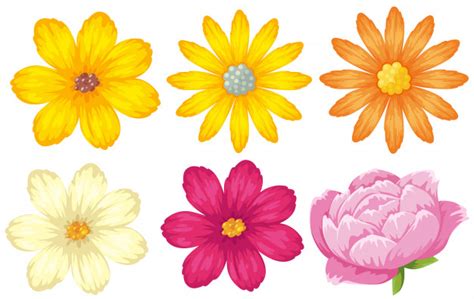 Diferentes tipos de flores en amarillo y rosa. | Descargar ...