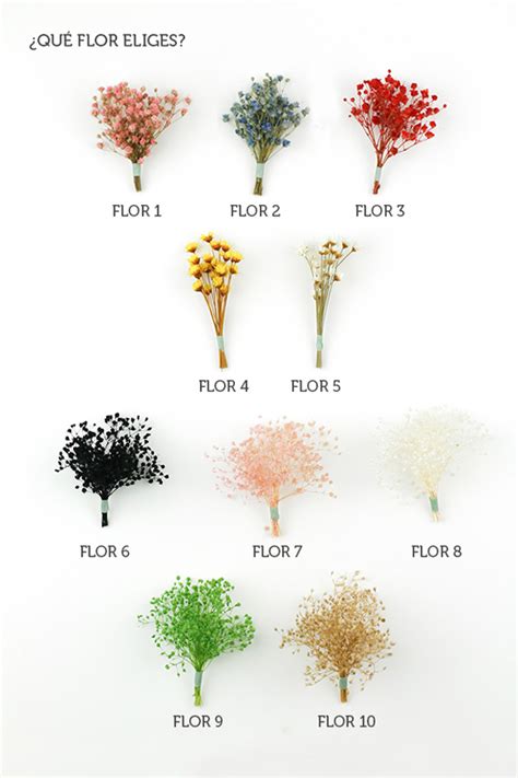 Diferentes Tipos De Flores Related Keywords   Diferentes ...