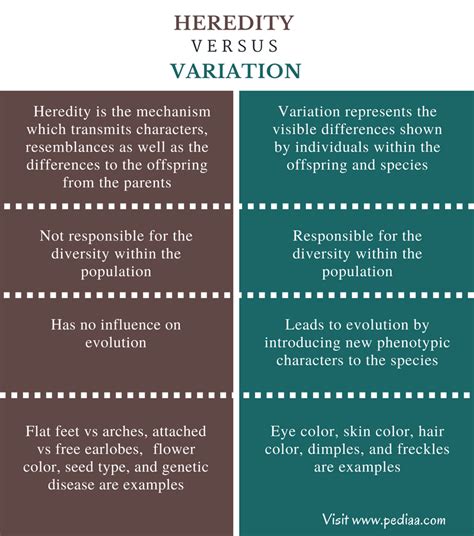 Difference Between Heredity and Variation