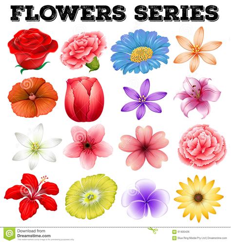 Different kind of flowers stock vector. Illustration of ...