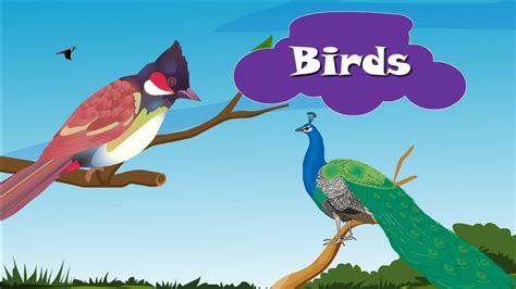 Different Kinds Of Birds And Their Names | www.pixshark ...