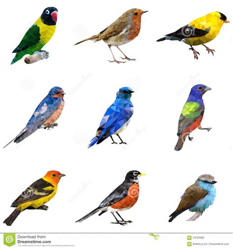 Different Type of Birds stock vector. Image of icons ...