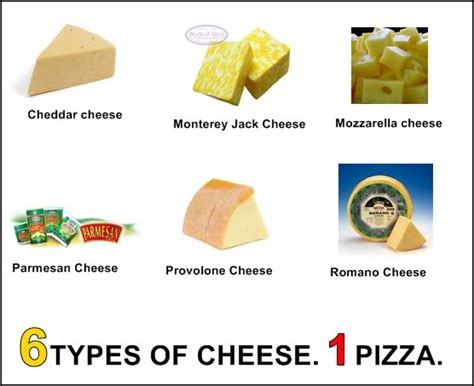 Different Types: Different Cheese Types