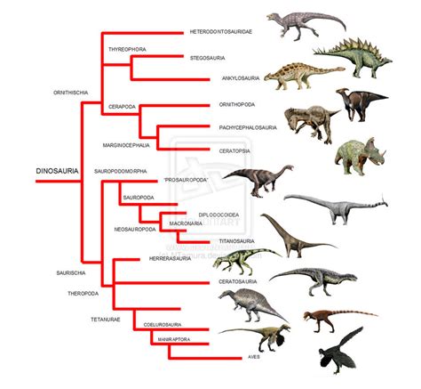 Different Types: Different Dinosaurs Types