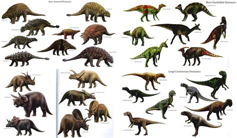 Different Types: Dinosaurs Different Types