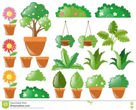 Different types of plants stock vector. Illustration of ...