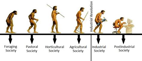 Different Types of Societies and Their Major ...