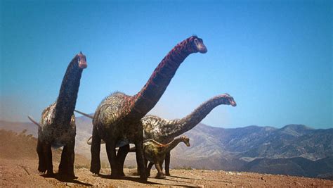 Dinheirosaurus | Dinosaur Revolution Wiki | FANDOM powered ...