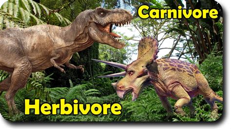 Dinosaur Carnivore VS Herbivore Family Finger Family ...