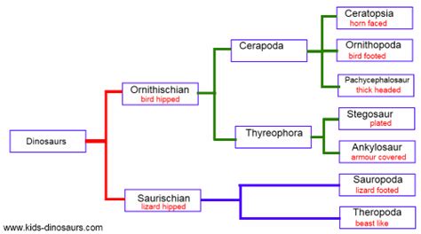 Dinosaur Classification for Kids