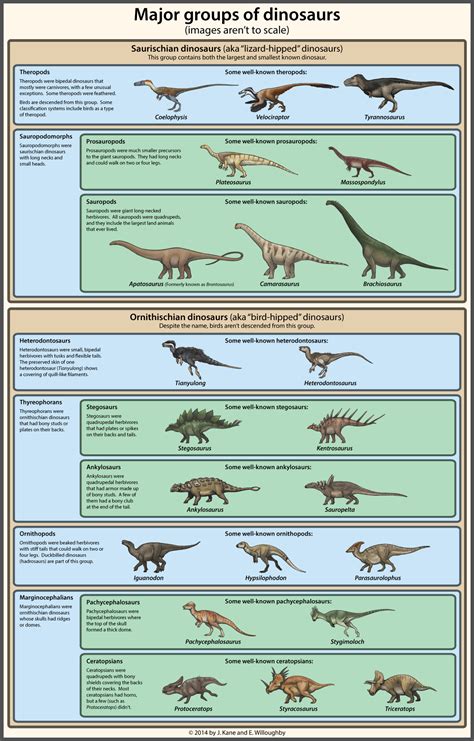 Dinosaur Classification Simplified by EWilloughby on ...