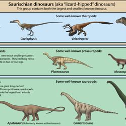 Dinosaur Classification Simplified – Emily Willoughby Art