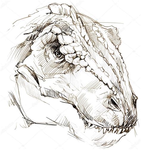 Dinosaur. dinosaur drawing pencil sketch — Stock Photo ...