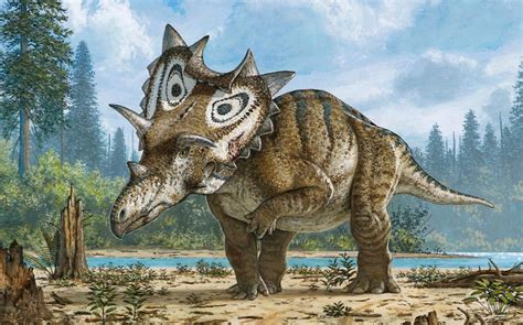 Dinosaur discoveries reveal exotic spikes and horns