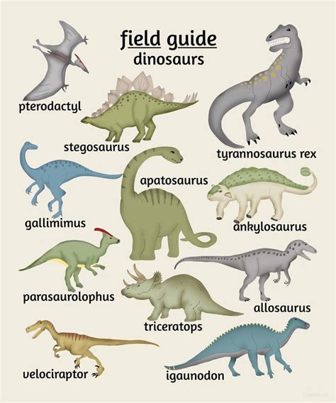 Dinosaur Pictures And Names For Kids – Kids Matttroy