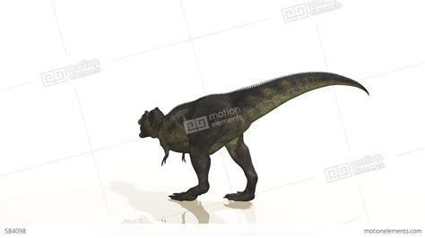 Dinosaur T REX Stock Animation | 584098