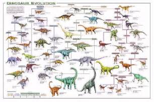 Dinosaur World::Dinosaur Evolution