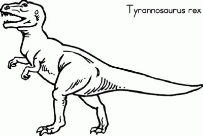 Dinosaurio rex para colorear