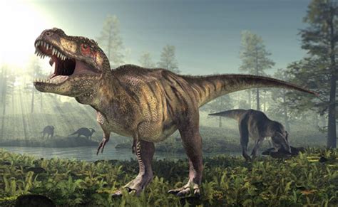 Dinosaurios carnívoros | Los más grandes y peligrosos del ...
