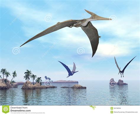 Dinosaurios De Pteranodon Que Vuelan   3D Rinden Imagenes ...