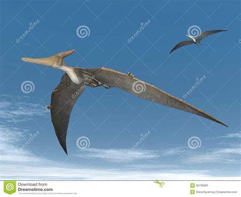 Dinosaurios De Pteranodon Que Vuelan   3D Rinden Imágenes ...