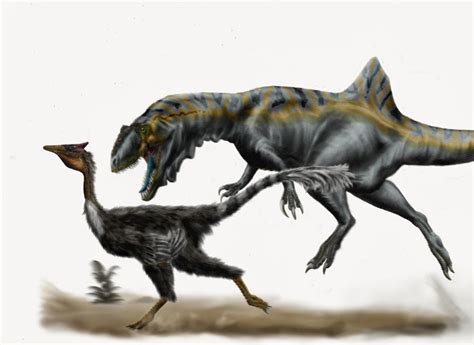 Dinosaurios en España: una guía de dinosaurios españoles ...