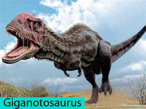 Dinosaurios Herbivoros 24683 | ENEWS