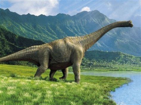 Dinosaurios herbívoros: características y tipos ...
